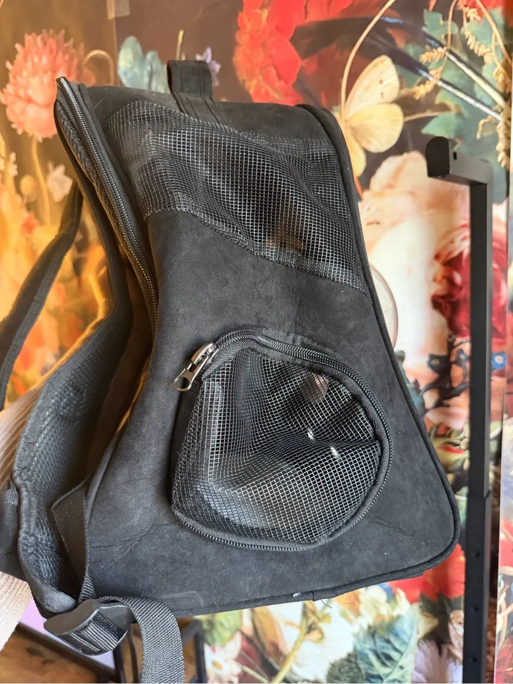Bubble Window Cat Backpack in EUC!